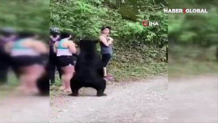 Parkta karşılarına çıkan ayı ile selfie çektiler! O anlar kamerada