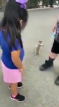 Cet écureuil assoiffé vient demander de l'eau à un touriste