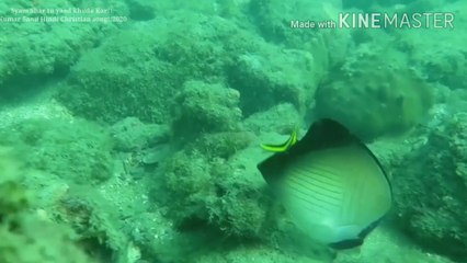 Syam Shar tu yaad khuda Kar!! Kumar Sanu Hindi Christian song