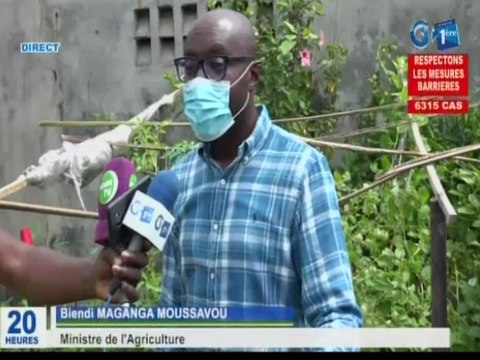 RTG/Récolte des produits du programme Gabon famille verte par le ministre de l’agriculture Biendi MAGANGA MOUSSAVOU