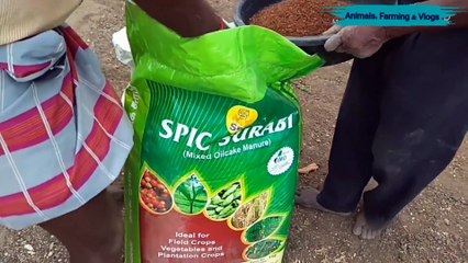 Organic Fertilizer for Coconut Tree Part - 02