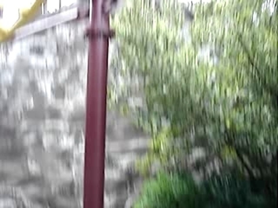 MOV08055