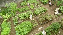 This QC Community Started Their Urban Garden For P300 | Yummy PH