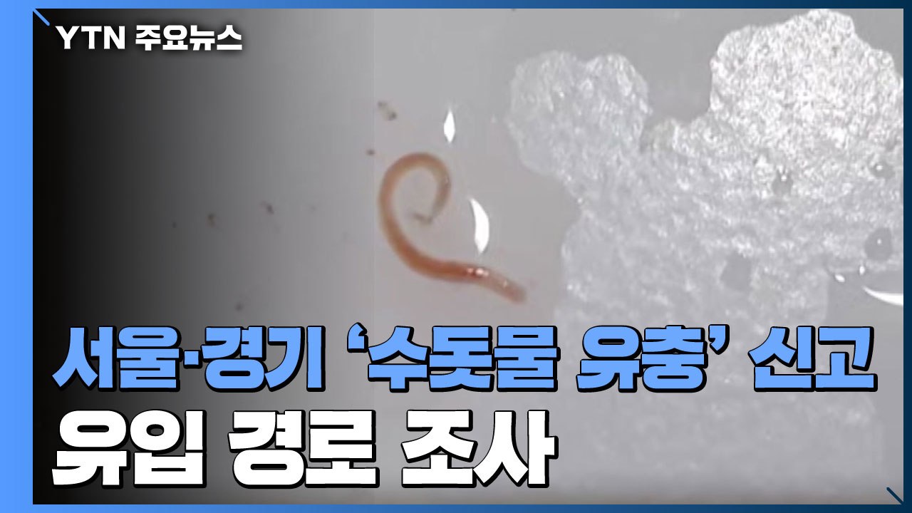 서울·경기 북부 '수돗물 유충 발견' 신고...확산 우려 / YTN