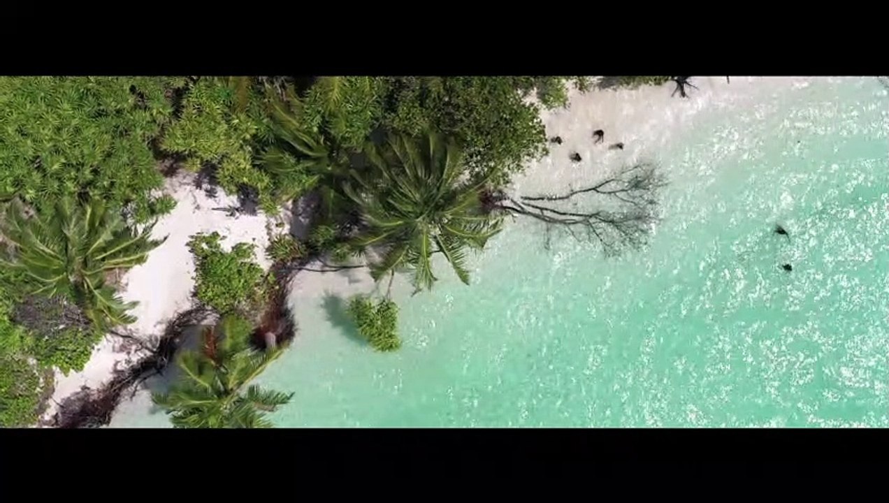 Around the world in 2 minutes (world tour)