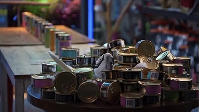 Cats & Dogs serisinin üçüncü filmi, eylülde seyirci karşısında