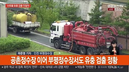 수돗물 유충 검출 잇달아…사태확산 조짐