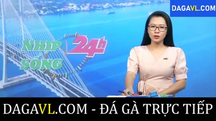 DAGAVL.COM - Anh Mỹ bến tre đánh bài bị bắt; đá gà trực tiếp; đá gà thomo; đá gà campuchia