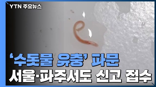 서울·경기 북부 '수돗물 유충 발견' 잇단 신고...당국 조사 중 / YTN