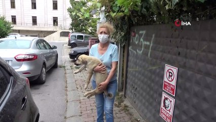 Maltepe’de evin bahçesindeki köpeklerin çalındığı anlar kamerada