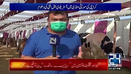 50 Lac Rupees Famous Australian | Ox 'Bunty' For Eid-ul-Adha