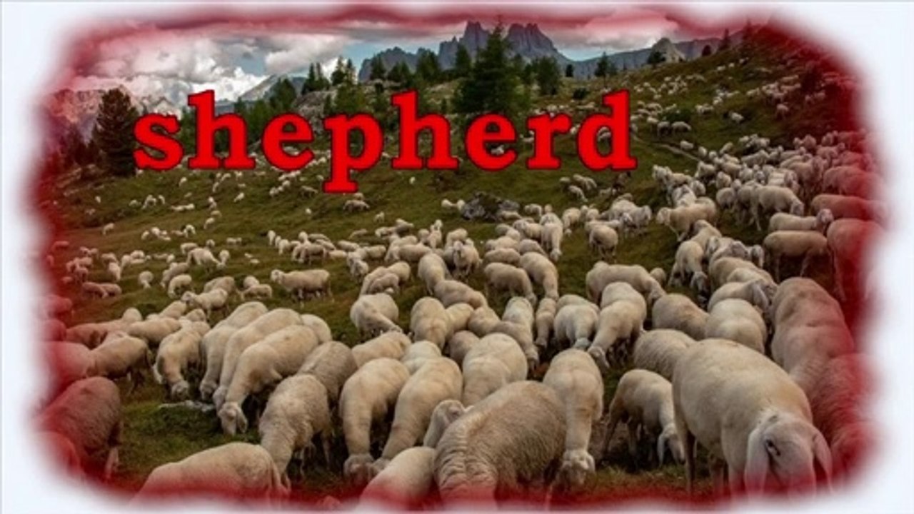 SHEPHERD ~ Rucker Brantley