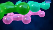 Enzyme- Mechanism of Enzyme Action _Class 12 Topic_Chemistry_ 3D Animation