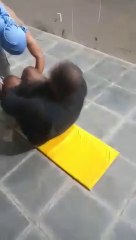 abdominal com anilha 120 kilos