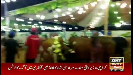 Criminal Most Wanted  19th July 2020