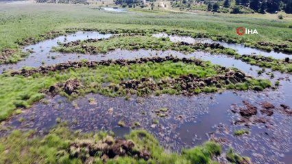 Buldan Yayla Gölünde Torf madeni çıkarılmaya devam ediyor
