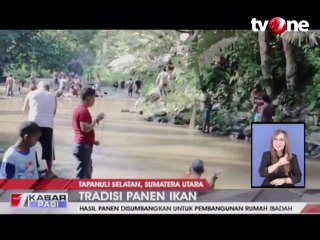 Tradisi Unik Panen Ikan di Tapanuli Selatan