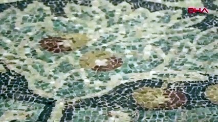 Amasya'da kaçak kazıda ortaya çıkan 1800 yıllık 'elma mozaiği' sergilenmeye başladı