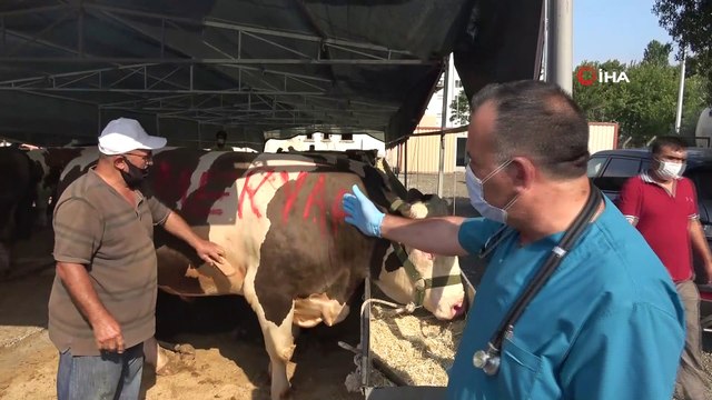 Kartal’da kurban satış alanında termal kamera dönemi