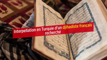 Interpellation en Turquie d'un djihadiste français recherché