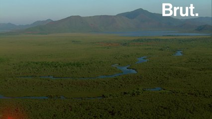 Blue River Provincial Park: a marvel of Caledonian nature