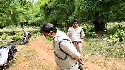 पेड़ों की अवैध कटाई पर अधिकारी पर भड़का गार्ड, कहा - थ्री स्टार लगाते हो और नियम मालूम नहीं, वर्दी उतरवाने की दी धमकी