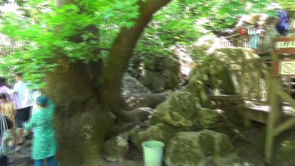 'Turgut Şelalesi' ziyaretçi akınına uğruyor