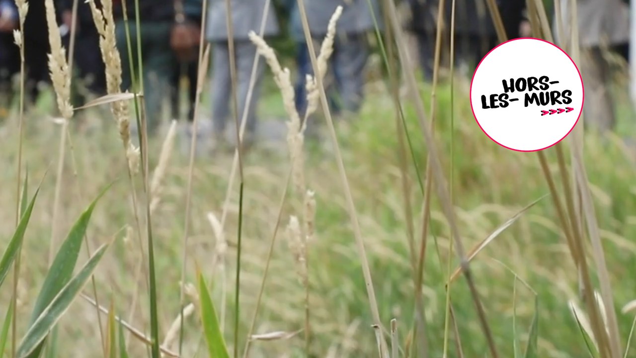 [Hors-les-murs] Commission d’enquête sur  les pollutions des sols : déplacement  dans le Val-de-Marne