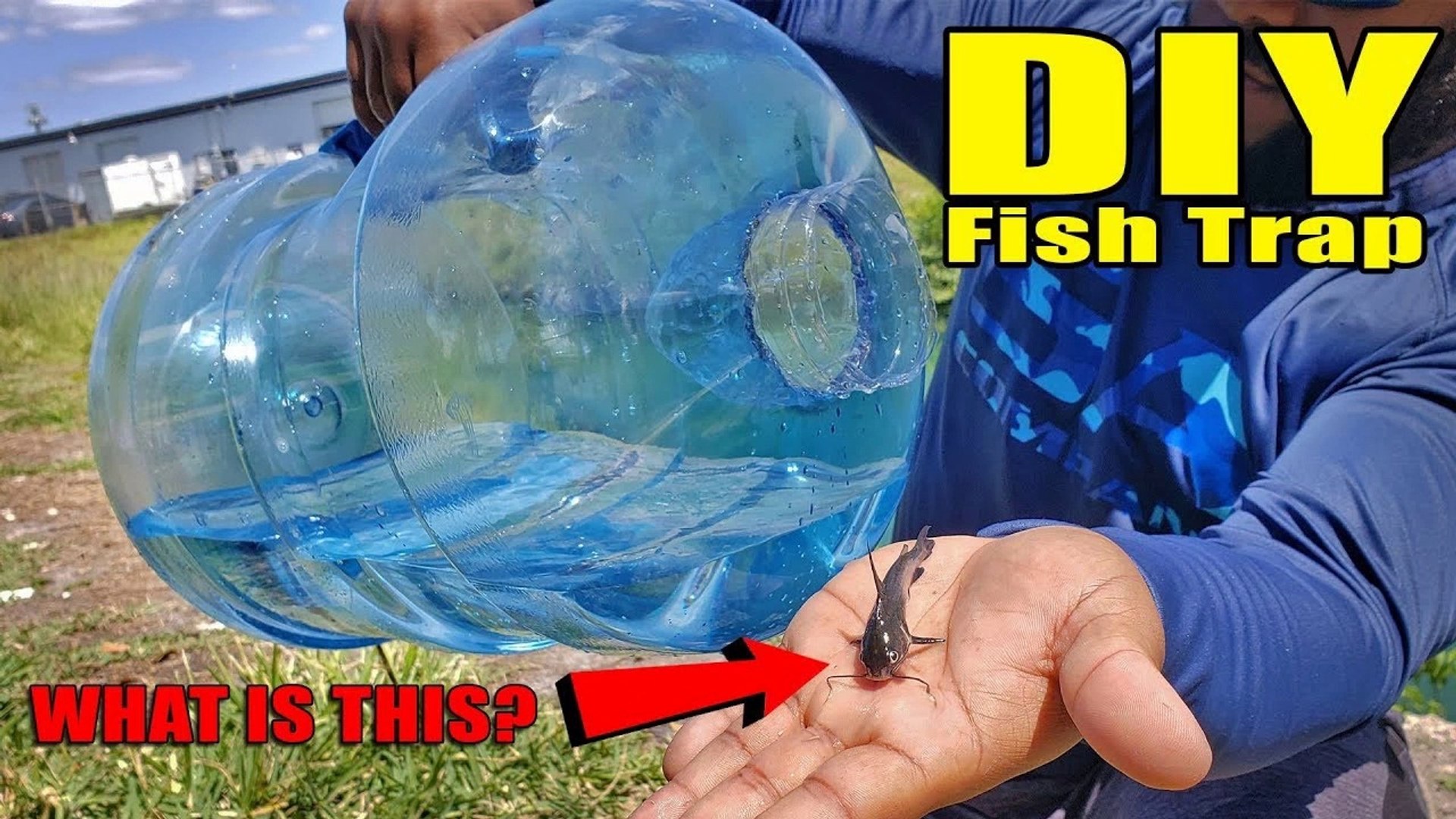 Plastic Bottle Fish Trap DIY Fishing - video Dailymotion