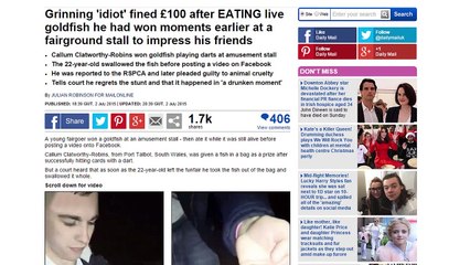 10 Dumbest Trends Of All Time