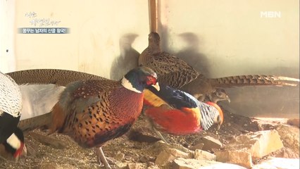 동물원을 방불케 하는 자연인의 보금자리 공개!