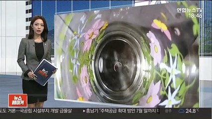 서울서도 수돗물 유충…"정수장 아닌 외부 요인"