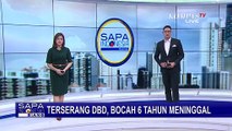 Terserang Demam Berdarah, Bocah 6 Tahun Meninggal Dunia