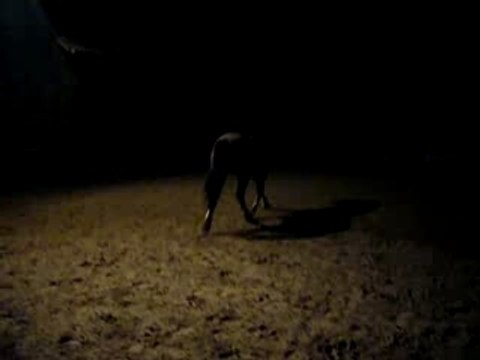 nounou en carriere apres le taff trot