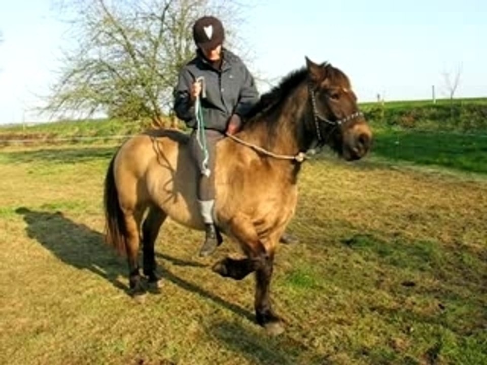 Kingou fait la jambette