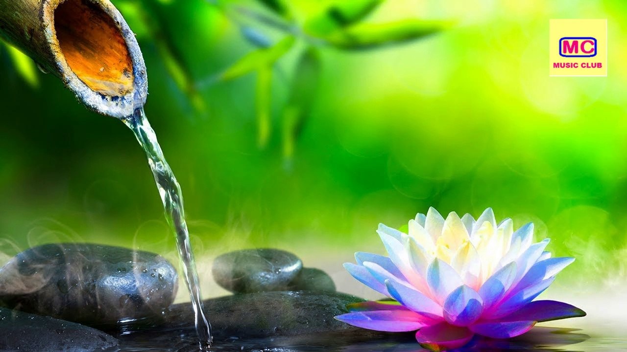 Deep Relaxing, Meditation and Sleep Music | Music Club | *Exclusive* 15
