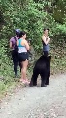 Ayı ile selfie çılgınlığı! Korku dolu anlar