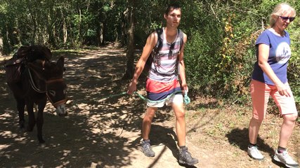 Une nouvelle vie pour Tino l’âne normand et Pato, le chien bulgare adoptés