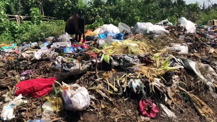 Le bidonville de Lologo, au Soudan du Sud