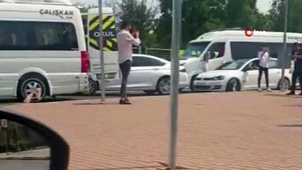 Trafikte halaya ceza yağdı