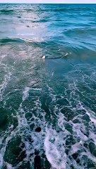 Un policía fuera de servicio se lanza al mar para rescatar a un niño acorralado por un peligroso tiburón