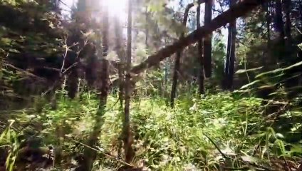 NATURE'S BEAUTY,PART-2