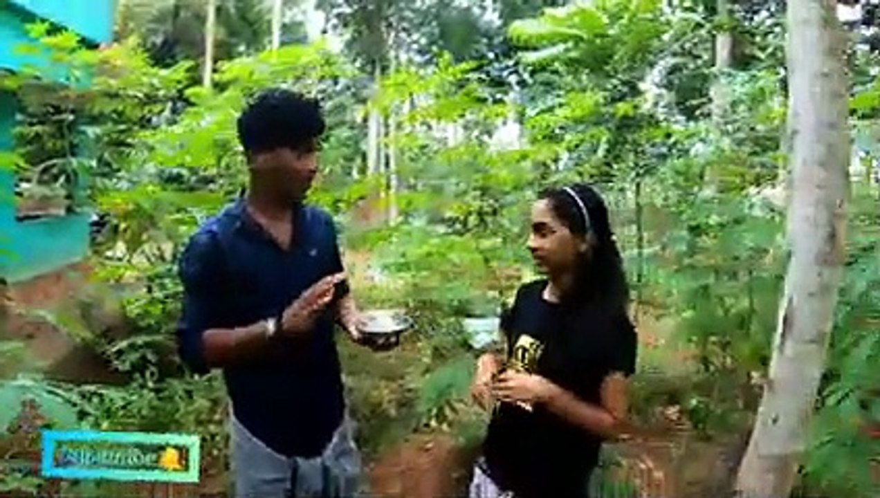 നാടൻ ചിക്കൻ പെരട്ട് _ nadan chicken perattu _ nada(240P)_1