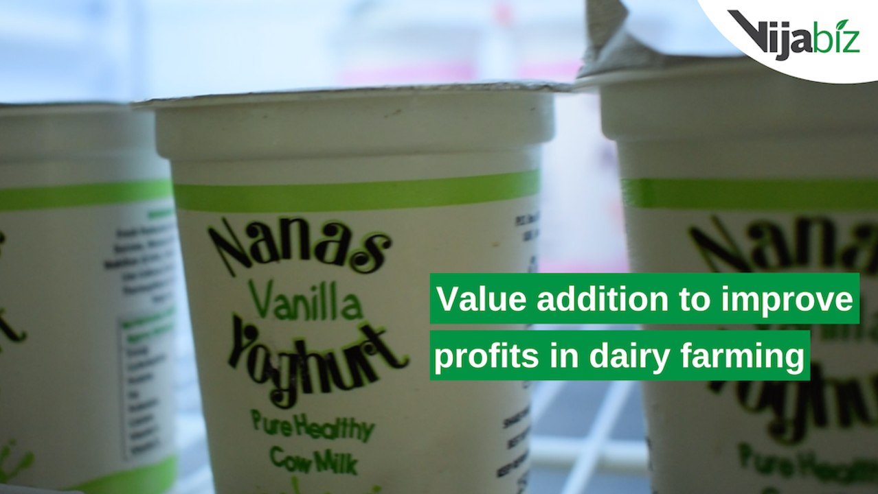 Kenya: Value addition to improve profits in dairy farming