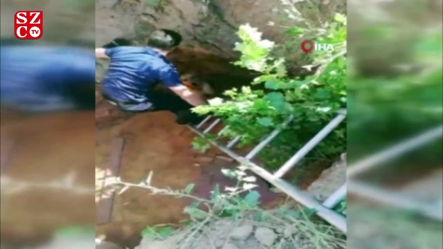 3 metrelik çukurda mahsur kalan köpek ve koyunu itfaiye kurtardı