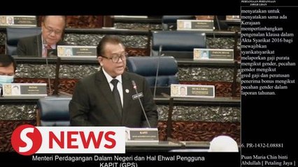 No plans to amend laws compelling companies over salary disclosure based on gender, says minister