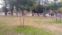 ¿Responsabilidad individual? Descontrol, chicos sin barbijos y cero control de la Policía de la Ciudad en Parque Saavedra
