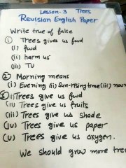 Trees Lesson-3 Paper revision