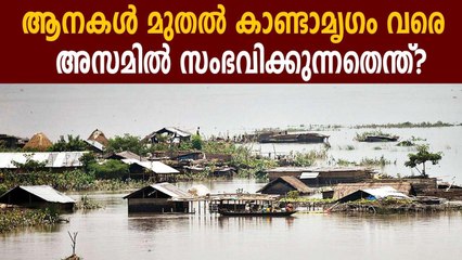 Assam Flood: 27.64 lakh people affected in 26 districts | Oneindia Malayalam