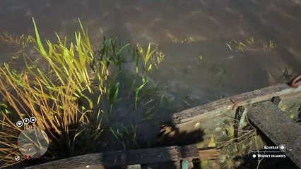 Red Dead Redemption 2 Online Localización de Objetos Colección de Whisky